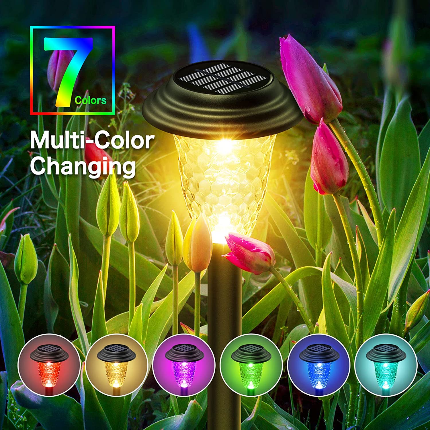 Outdoor Solar Yard Lamps - Color Changing LED, IP67 Rated